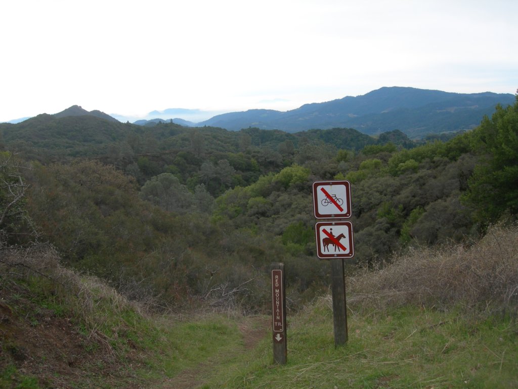 baldmountainsonoma17.jpg