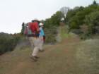 baldmountainsonoma18_small.jpg