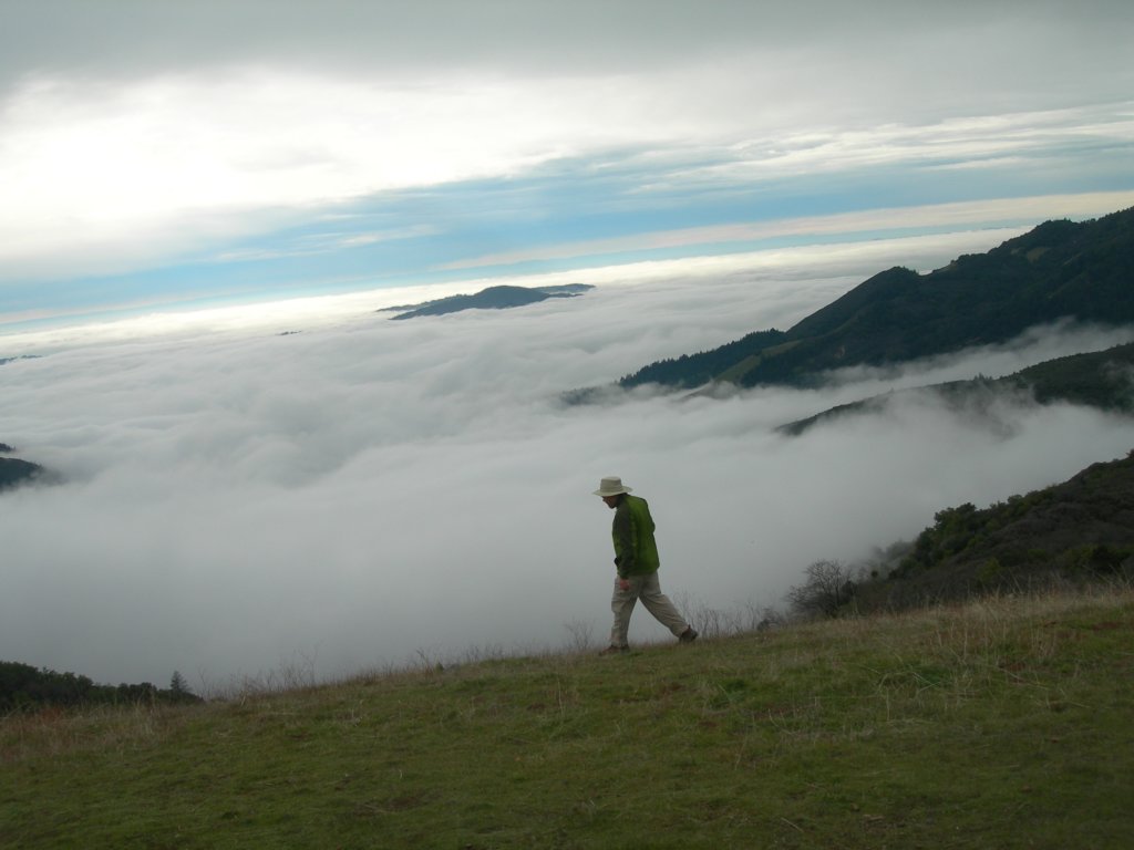 baldmountainsonoma25.jpg