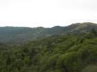 baldmountainsonoma8_small.jpg