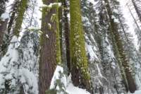 newyearbackpack021_small.jpg