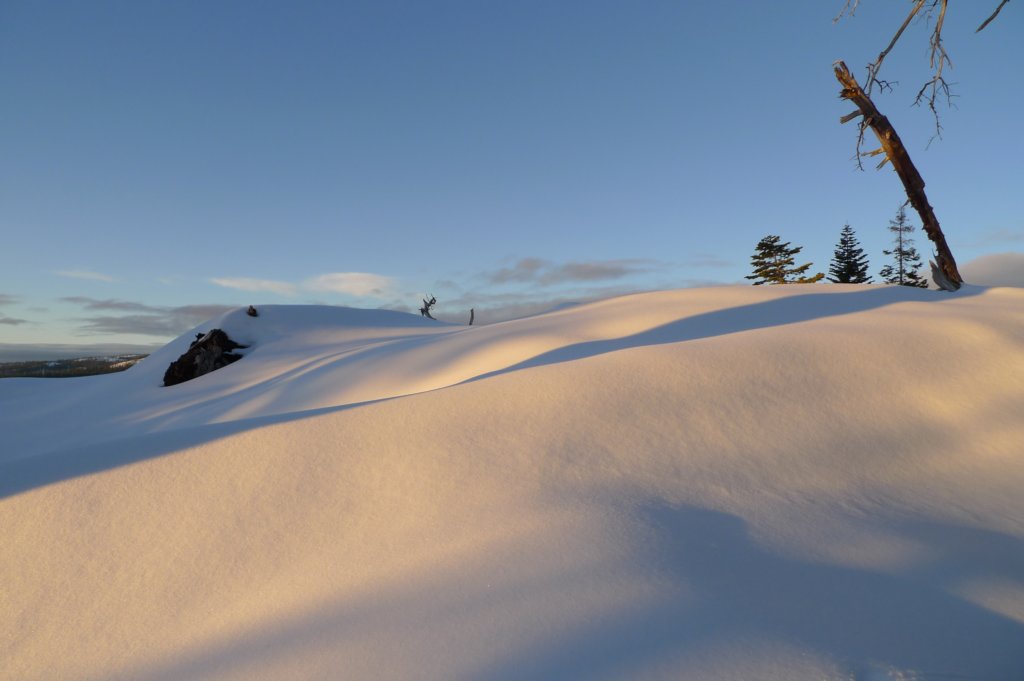 newyearbackpack033.jpg