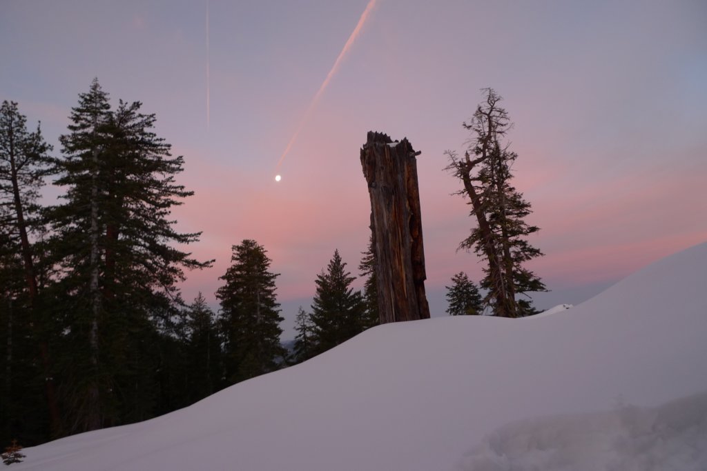 newyearbackpack088.jpg