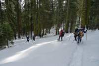 newyearbackpack113_small.jpg