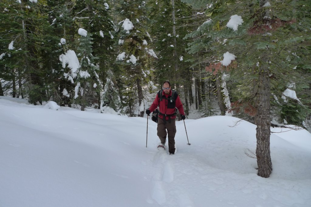 newyearbackpack121.jpg