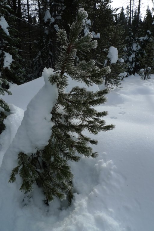 newyearbackpack139.jpg