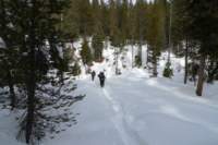 newyearbackpack149_small.jpg