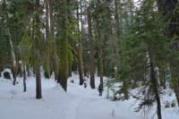newyearbackpack192_small.jpg