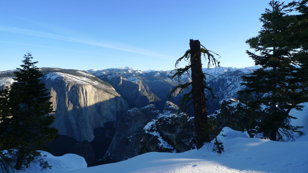 newyearbackpack258.jpg