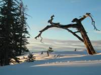 newyearsnowcamp063_small.jpg