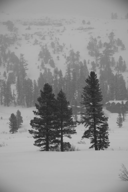 _mg_5929.jpg