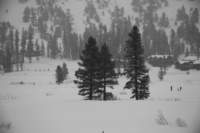 _mg_5944_small.jpg