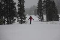 img_5865_small.jpg