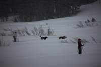 img_5876_small.jpg