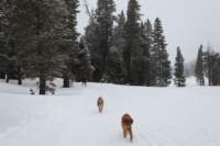 img_5920_small.jpg