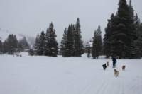 img_5921_small.jpg