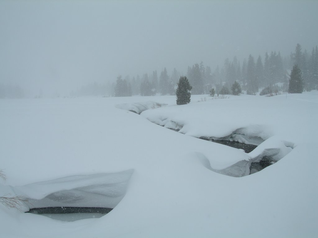 kirkwood001.jpg