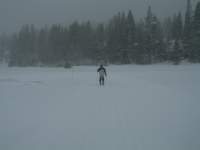 kirkwood003_small.jpg