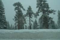 kirkwood012_small.jpg