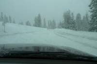 kirkwood017_small.jpg