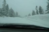 kirkwood018_small.jpg