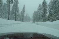 kirkwood019_small.jpg