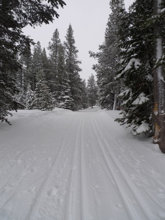 kirkwood026.jpg