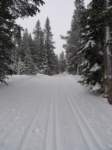 kirkwood026_small.jpg