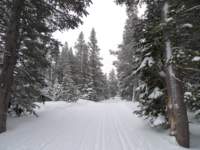 kirkwood027_small.jpg