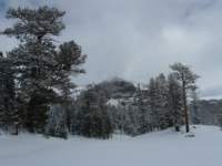 kirkwood043_small.jpg