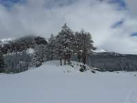 kirkwood056_small.jpg