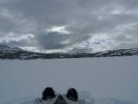 kirkwood058_small.jpg