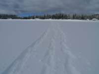 kirkwood060_small.jpg