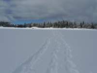 kirkwood061_small.jpg