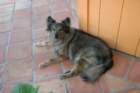 img_2741_small.jpg