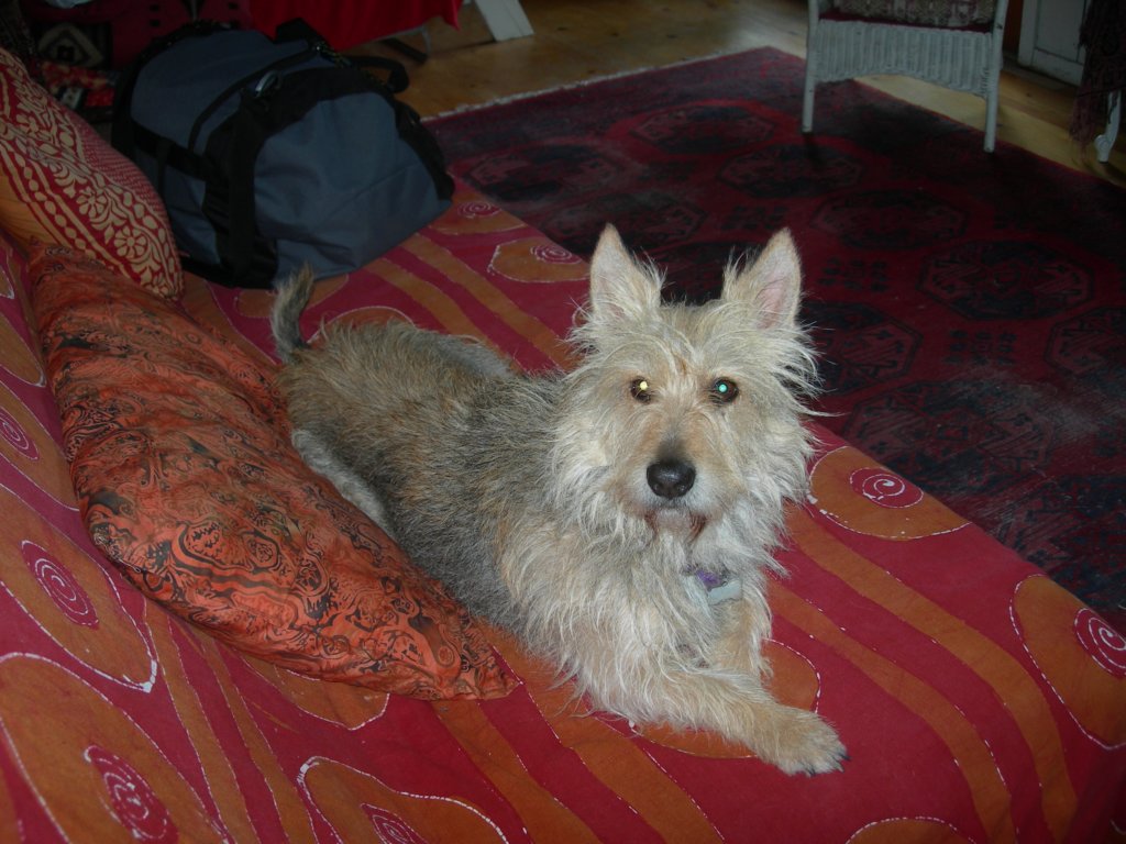 losalamos004.jpg