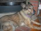 losalamos006_small.jpg