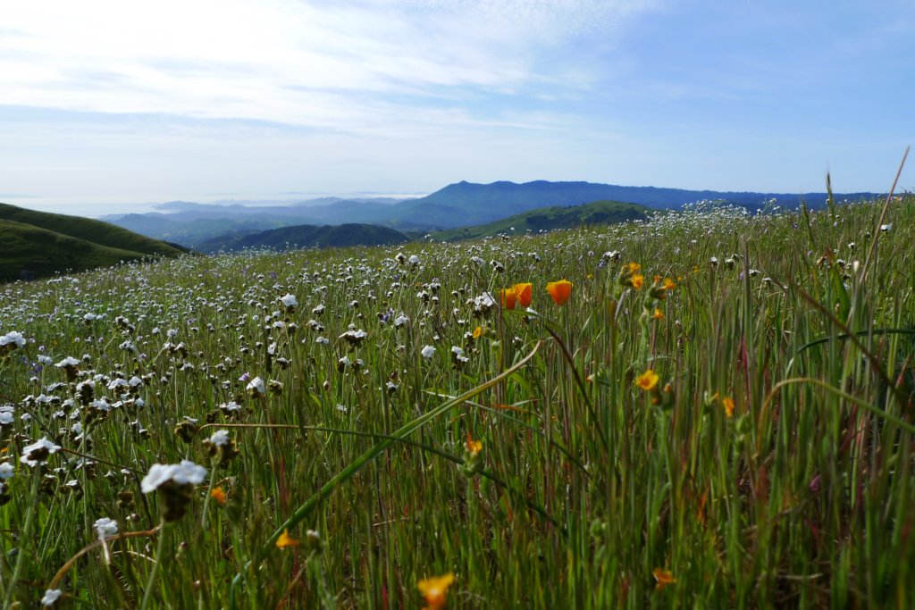 bigrockhike019.jpg