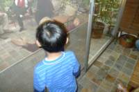 pasadena067_small.jpg