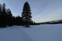 kirkwood002_small.jpg