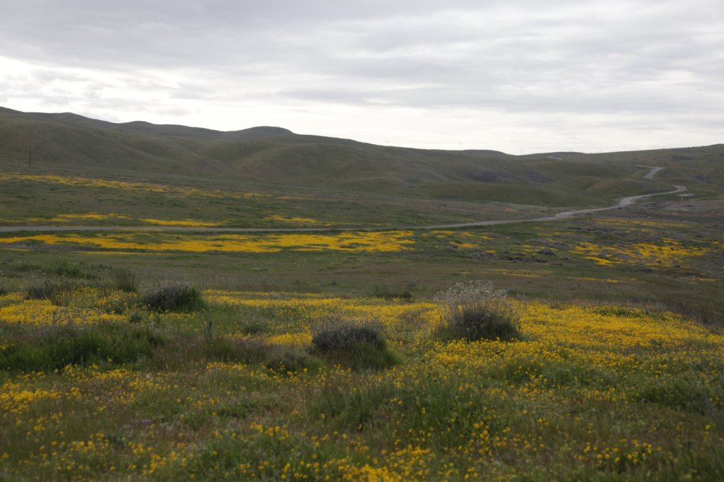 _mg_6147.jpg