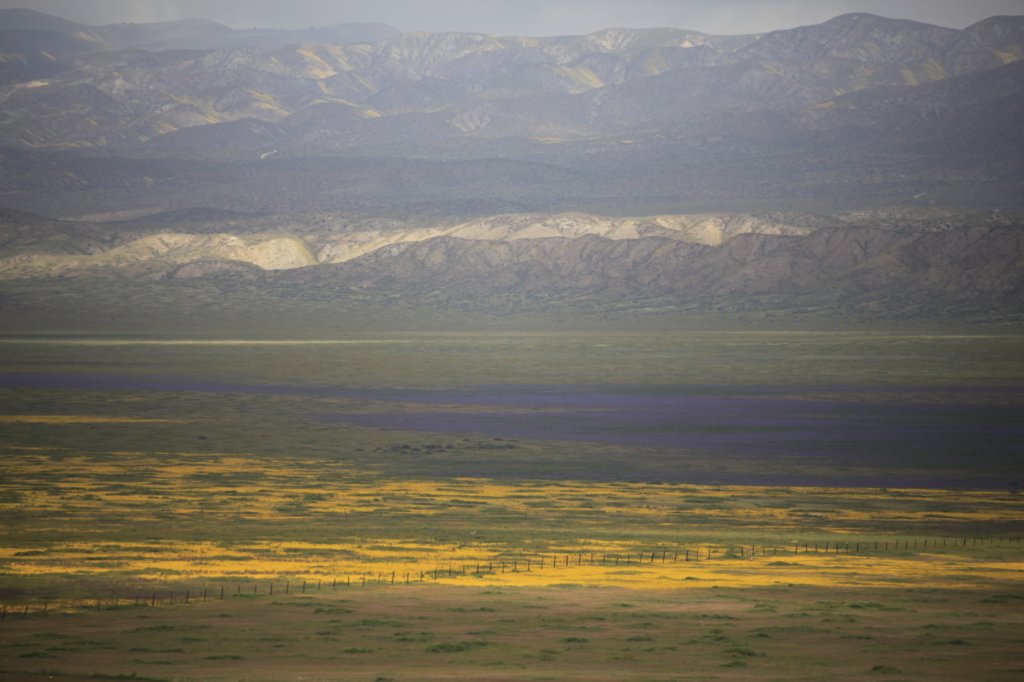 _mg_6183.jpg