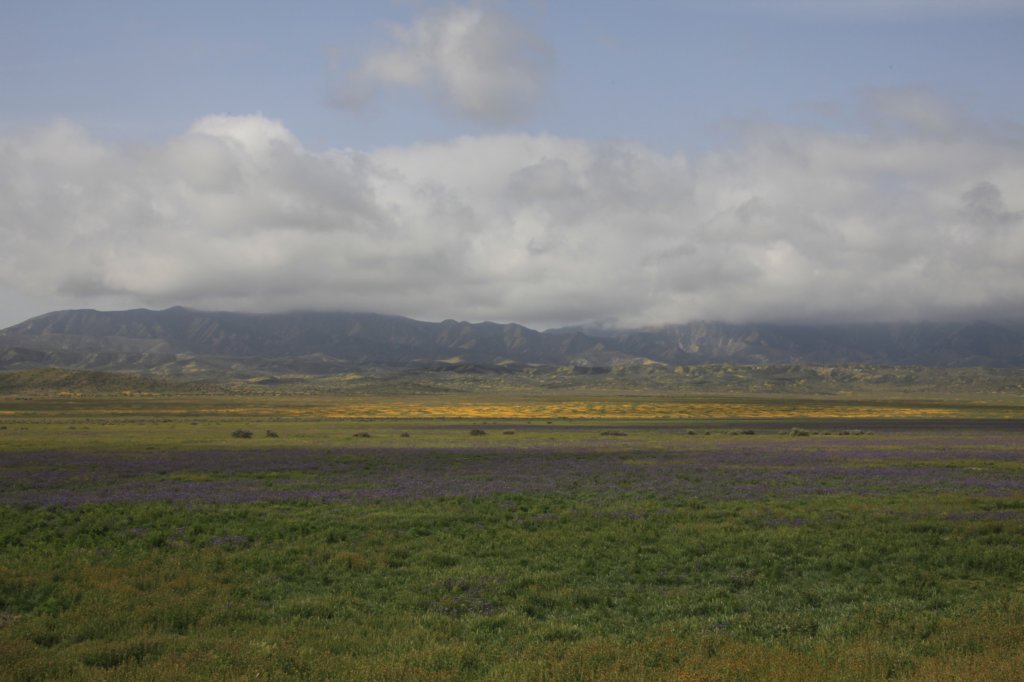 _mg_6210.jpg