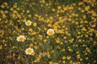 _mg_6235_small.jpg