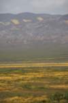 _mg_6242_small.jpg