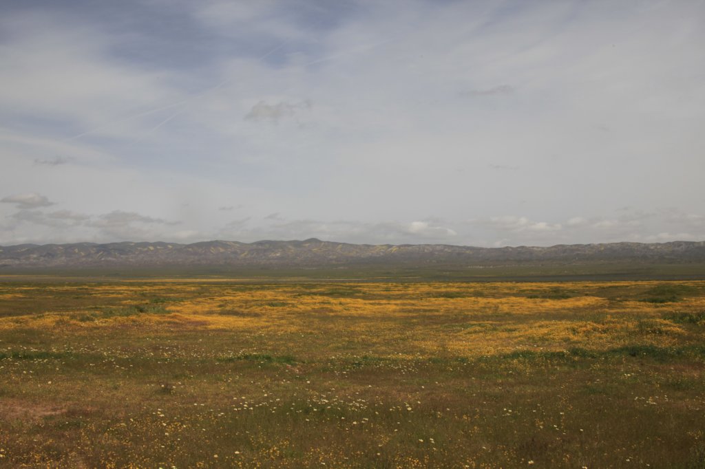 _mg_6244.jpg