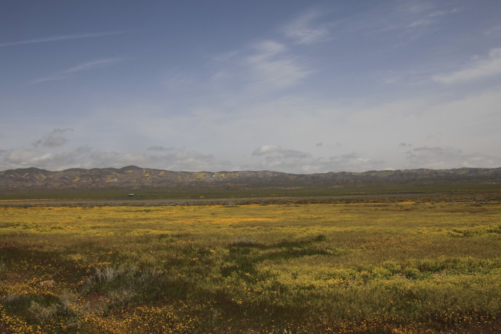 _mg_6265.jpg