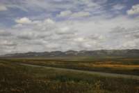 _mg_6311_small.jpg