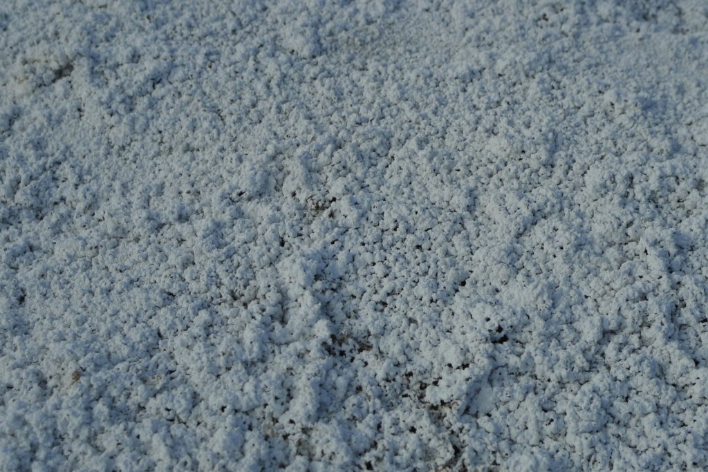 carizzoplains042.jpg