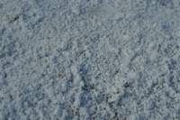 carizzoplains042_small.jpg